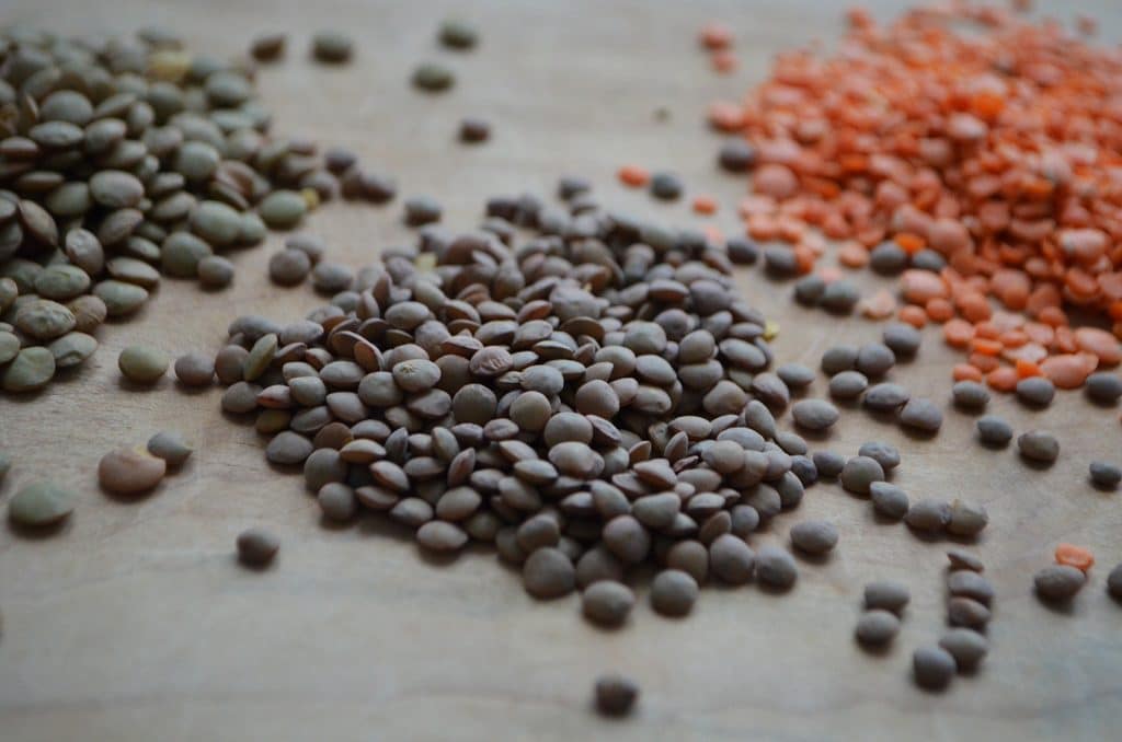 Small brown lentils for mujadara