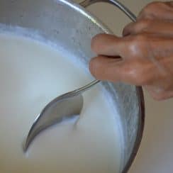 How to Make Yogurt, MaureenAbood.com
