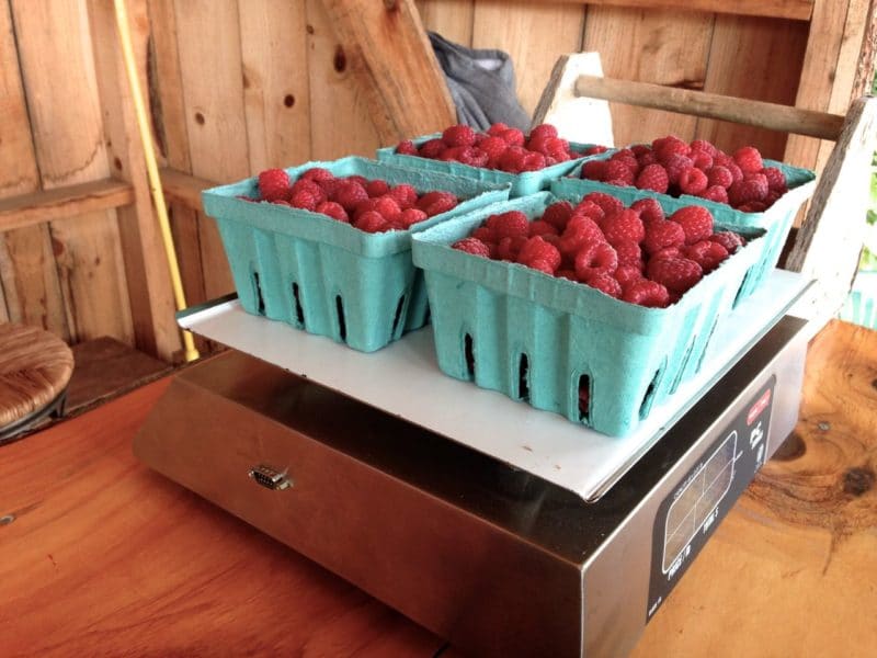 Raspberries weighed, Maureen Abood