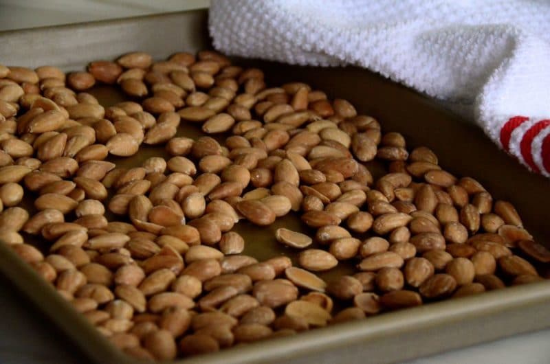 Toasted almonds, Maureen Abood