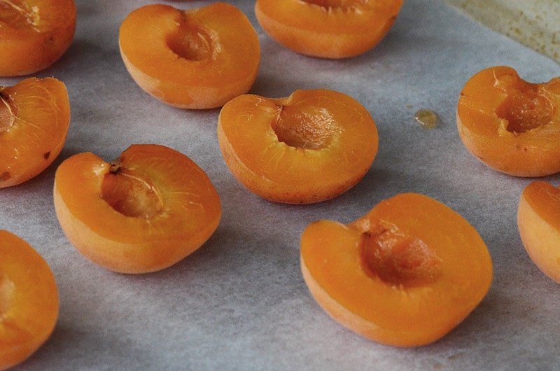 Apricot halves up close, Maureen Abood