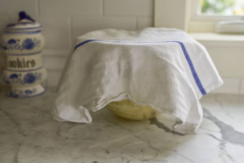 Dough set to rise in a bowl with a towel over it, Maureen Abood