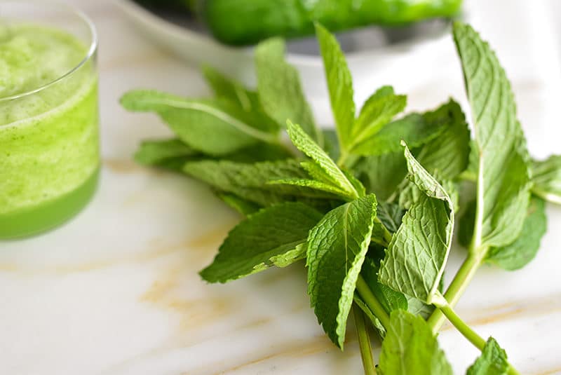 Fresh mint on the counter