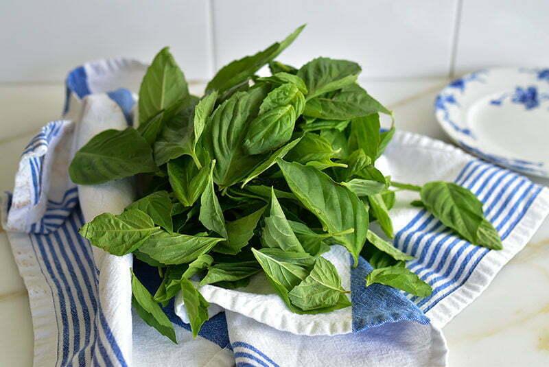 Basil leaves on a blue and white towel