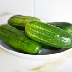 Pickling cucumbers in a gratin dish on the counter