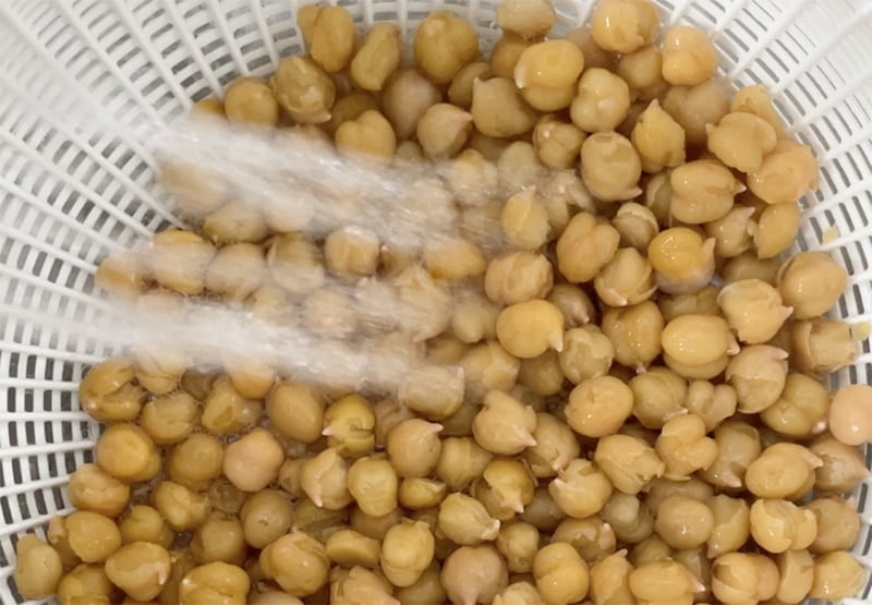 Chickpeas skinless in a colander